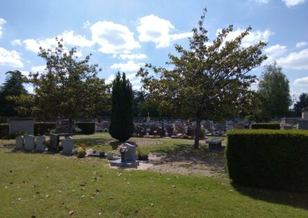 Végétalisation du Cimetière de Monnaie